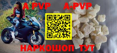 прущие грибы Лесосибирск