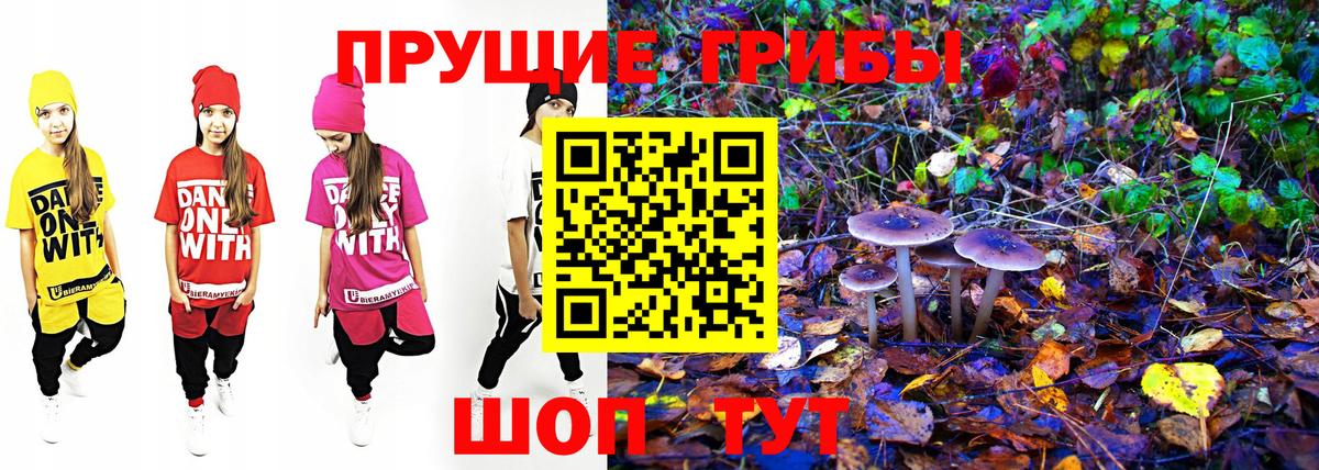 Уссурийск  Галлюциногенные грибы GOLDEN TEACHER  Вход с VPN  Псилоцибиновые грибы Psilocybe 